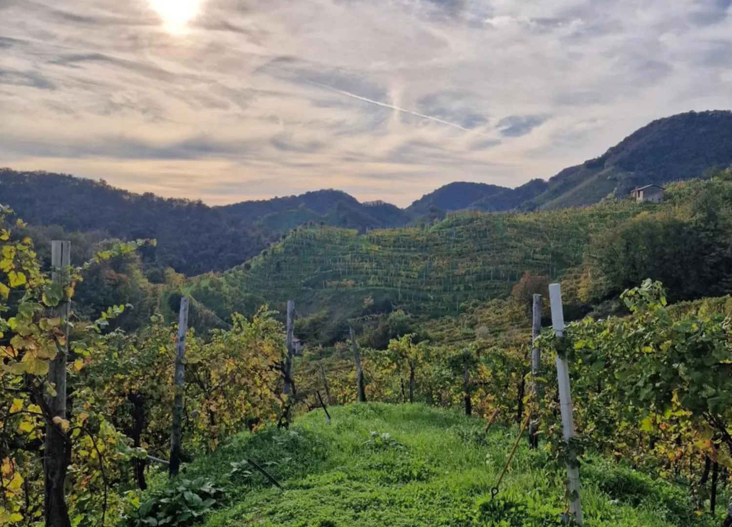 Agriturismo Borgo Riva Granda Col San Martino