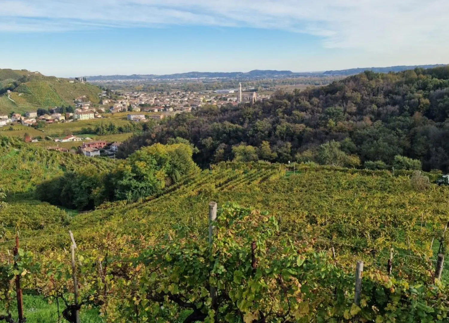 شقة Agriturismo Borgo Riva Granda Col San Martino